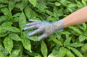 Quality Hygienic Anti Allergic Disposable TPE Gloves For Household Cleaning wholesale