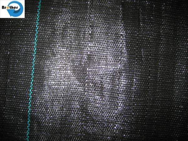 100% Anti Grass PP Woven Weed Control Cloth, Agro Plant Ground Cover Landscape