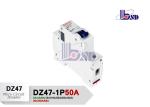2 Poles Type B Circuit Breaker 50/60 Hz For Electrical Office Equipment