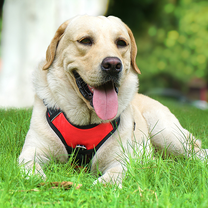 Explosion Proof Nylon Dog Harness Reflective Dog Vest Harness Medium Large