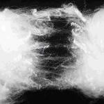 PET Low Melt Fiber Polyester Fiber 4D Polyester Fiber Fill For Clothing