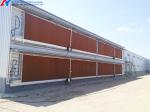 Large Steel Structure Poultry Birds Chicken Farming Breeder Shed Building