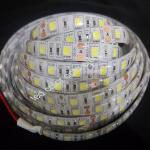 30/60/120 led 5050 white color LED strip