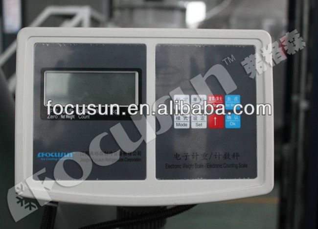 Edible Cube Ice Packaging Simplified with Semi Automatic Packer by Focusun in Bags