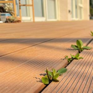 Quality Residential WPC Decking Panel Wood PVC Composite Decking Panel CE wholesale