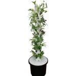 32 48 64 Holes Vertical Indoor Pineapple Tower Hydroponic Growing System 30L 8
