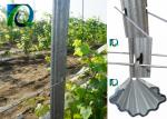 7FT Height Metal Plant Support Stakes , Hot Dip Galvanised Steel Vineyard Posts