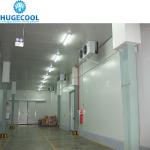 PU100981020213 Cold Storage Room for 100/200/300/500/1000 Tons Tomato and Fresh