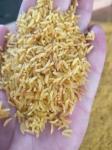 380V 50HZ 3PHASE Double Screw Fortified Rice Extruder 1500kg