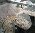 SUS 304 Multihead Weighing Packaging Machine For Frozen Shrimp