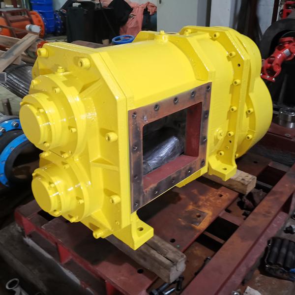 Cheap SS316 Self Priming Rotor Lobe Pump , Anti Corrosion Rotary PD Pump for sale