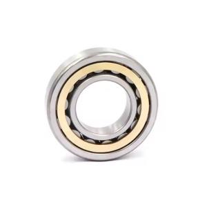Quality OEM NJ2306E Cylindrical Roller Bearing 30*72*27mm wholesale