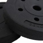 Plastic Coated 10kg Weight Plates , Dia33.8cm Barbell Weight Plates