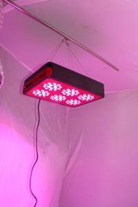 Quality 270W 10bands Apollo 6 Full Spectrum LED Grow light with Cree led lights For Indoor Plants wholesale
