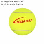 inflatable bouning ball