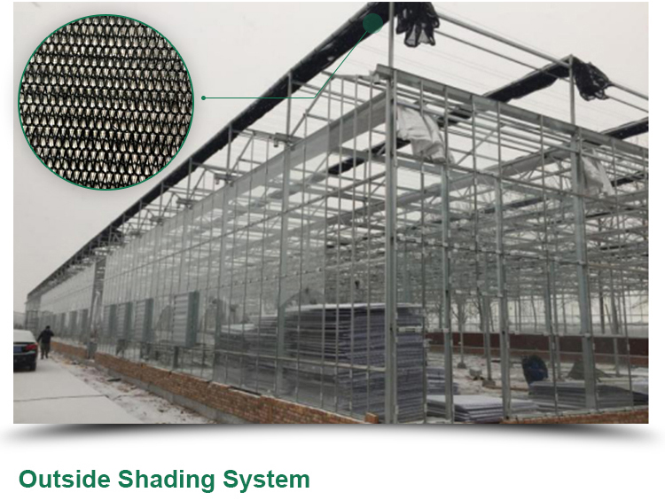 4.0m-6.0m Gutter Height Commercial Glass Greenhouse for Vegetable Flower