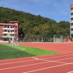 Integrated Structure Sandwich System Running Track UV Resistance Runway Track