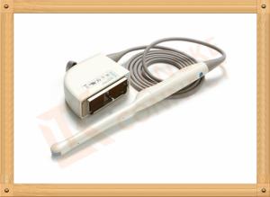 Quality Lightweight Siemens Medical Ultrasound Transducer For Gynecology wholesale