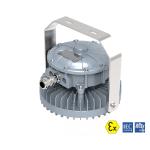 Zone 1&2 Zone 2&22 Explosion Proof Battery Powered Lights 10W