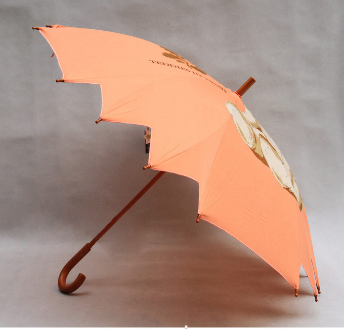 TUV Outdoor Metal Shaft Kids Compact Umbrella