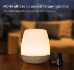 Ceramic 15ml/H Aromatherapy Essential Oil Diffuser 180ml