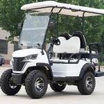 Long Range 4 Wheel 4 Seater Golf Cart Electric Club Drive Lithium Buggy Street