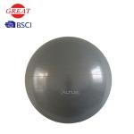 Grey / Blue Anti Burst Gym Ball , Customized Logo 55cm Fitness Ball