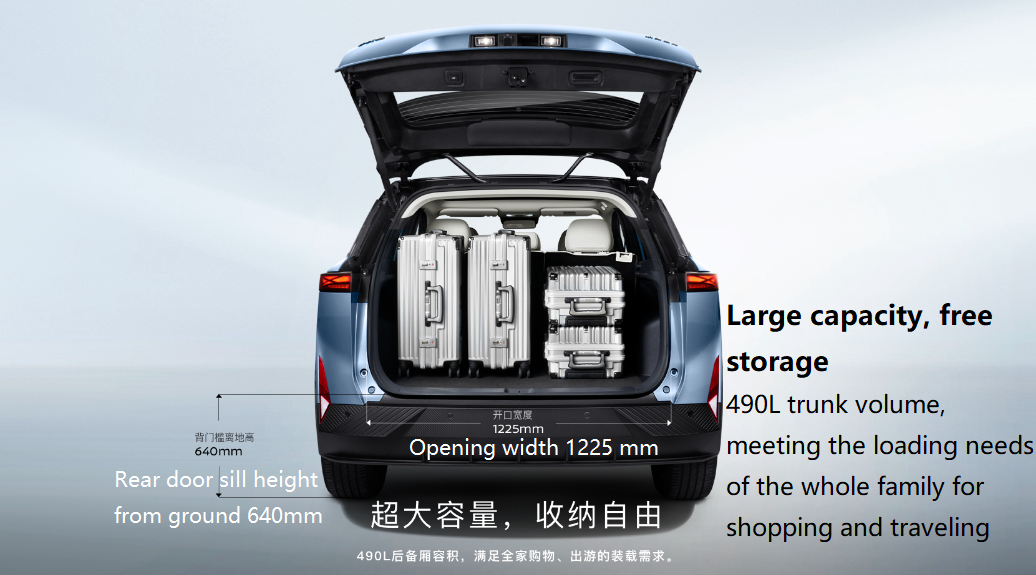 Level Compact SUV 2024 Venucia VX6 Energy Vehicle with 450km Range and 5-Seats Battery type Lithium Iron Phosphate 2025