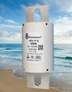 Quality DC750V Semiconductor High Speed Fuse Use For EV Charger Power wholesale