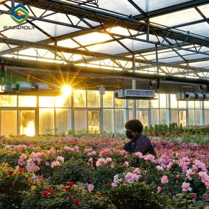 Quality Flower Growing Steel Frame Greenhouse Wind Resistance Large Glass Greenhouse wholesale