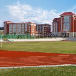 UV Resistant Outdoor Synthetic Flooring Athletic Track Surfaces