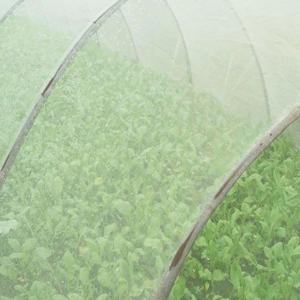 Quality Fish Farming Agricultural Nets, insect netting, anti insect net wholesale