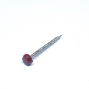 Quality OEM Polished Ring Shank Plastic Head Nails Nylon PA6 UV Stable Round Head wholesale