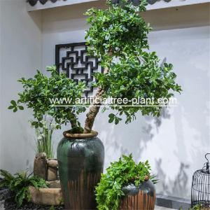 Quality Green Money Plant Artificial Fortune Tree Water Jar Home Decoration ISO wholesale