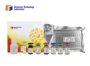 Quality High Sensitive Porcine A1-Acid Glycoprotein Sandwich Immunoassay Test Kit With Oem Service wholesale
