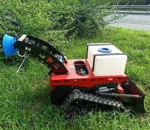 Quality Weed Remover Agricultural Lawn Mower TUV Walk Behind Mower 550mm wholesale