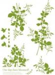 Modern Removable Personalised Tree Wall Flower Stickers G008