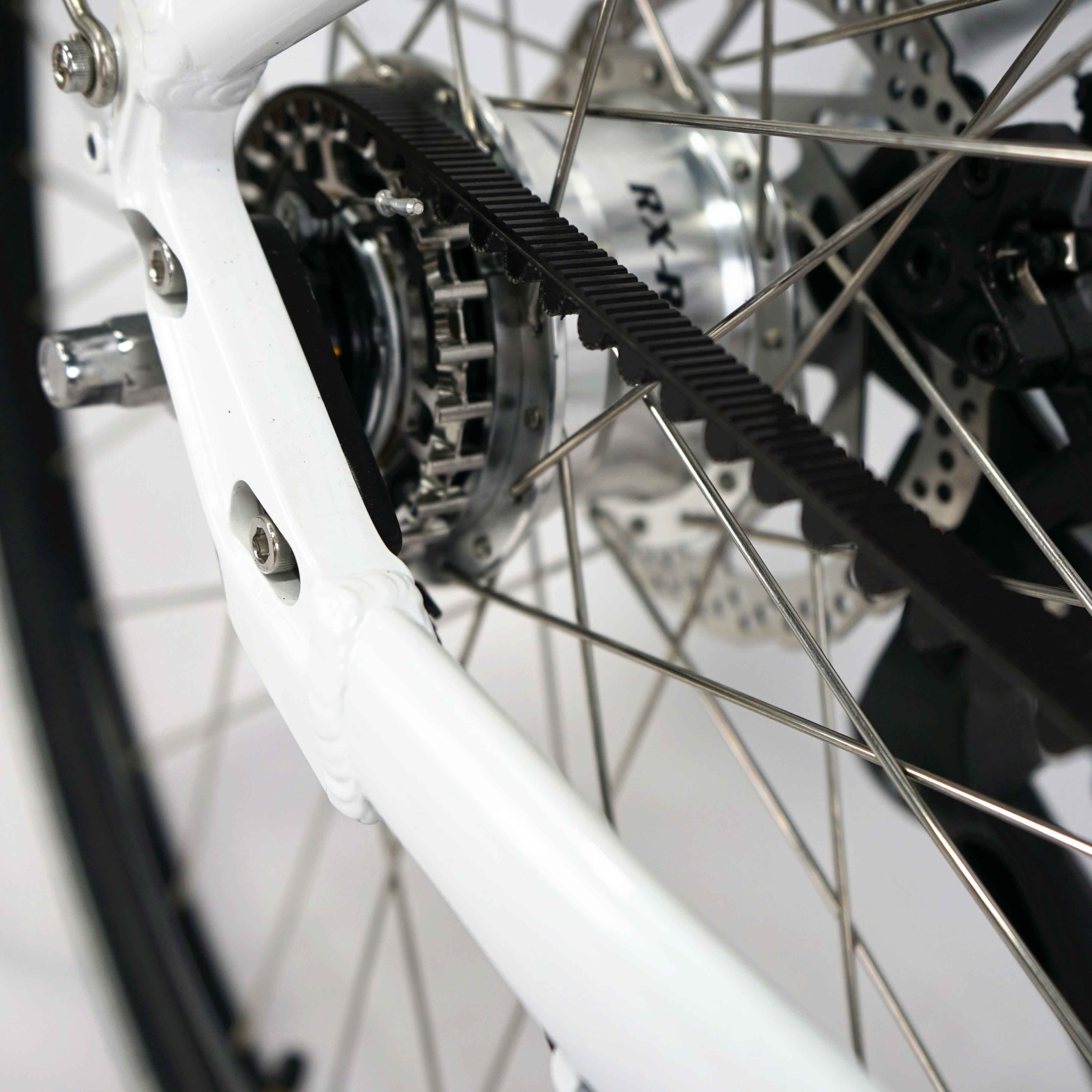 2021 Electric Hybrid Bike with Aluminum Alloy Frame Belt Drive and 5 Internal Hub Gear