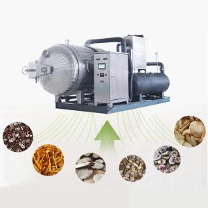 Quality Vacuum Stainless Steel Industrial Freeze Dried Fruit Machine wholesale