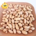 Kosher Halal Certified Coated Roasted Spicy Yellow Edamame Soya Bean Snacks ISO