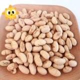 Quality Natural healthy OEM Roasted Salted Soya Bean Snacks Handpicked Vegan Beans wholesale
