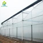 OEM Sawtooth PO PE Plastic Film Greenhouse For Strawberries