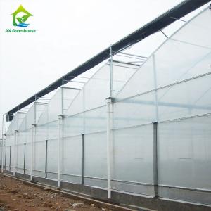 Quality OEM Sawtooth PO PE Plastic Film Greenhouse For Strawberries wholesale