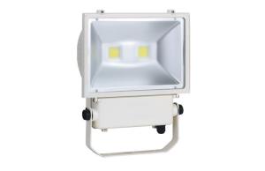 Quality LED Flood Light 20W/80W/100W LF066011 For Display Lighting wholesale