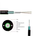 Outdoor Aerial Armored Fiber Optic Cable with G652D GYXTW 2-12 Core
