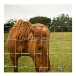 0.8-2.4m Security Fence Hot Dipped Galvanized Game Wire Farm Field Fence