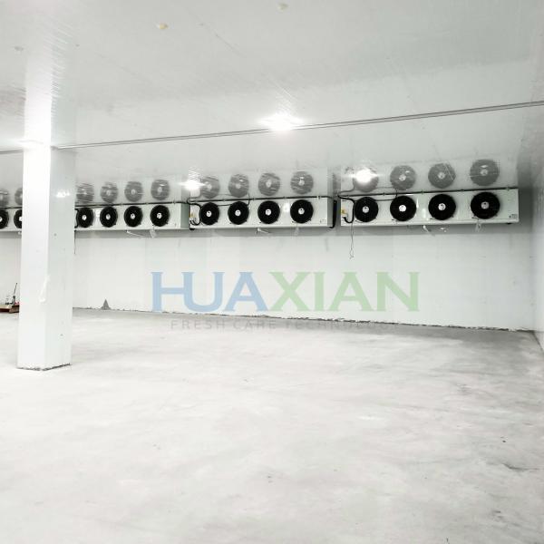 China Industrial Meat Walk in Freezer Type Refrigeration Cold Room Storage