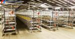 Multifunctional Broiler Chicken Layer Battery Cage Automatic Poultry Farming