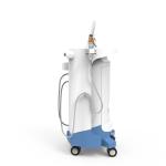 Fractional RF Professional Fractional RF Microneedle Machine Wholesale RF