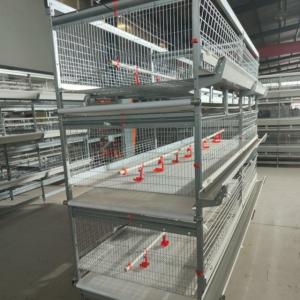 Quality 2150x2300x1600mm 3tire Chicken Farming Cage Wire Material Q235 Bridge Steel wholesale